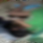 befunky 2023 7 4 10 54 22