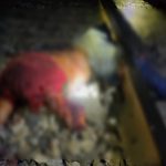 befunky 2024 3 6 17 50 40