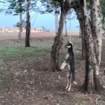 IMG 20240708 WA0653