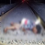 befunky 2025 0 6 17 44 41