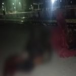 befunky 2025 1 0 11 22 53