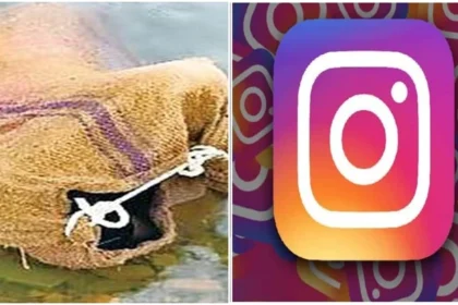 26 08 2025 insta crime 2025826 211938
