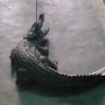 IMG 20250822 WA0033 780x470 1