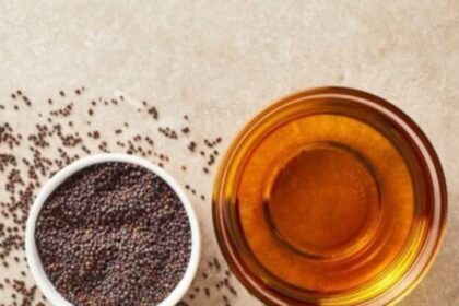 Screenshot 2025 08 19 172137