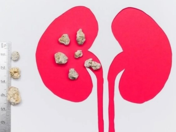 Screenshot 2025 08 19 172624