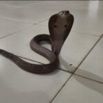 WhatsApp Image 2025 08 30 at 10.50.27 AM