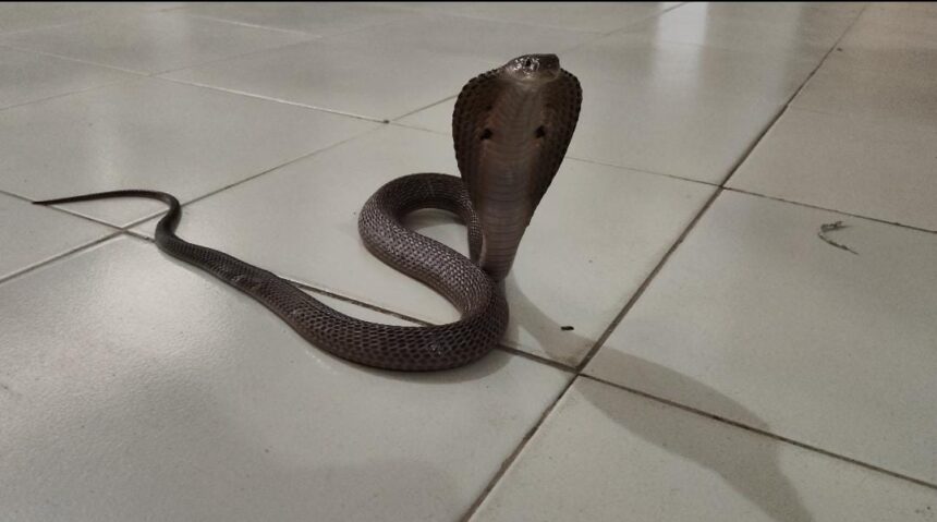 WhatsApp Image 2025 08 30 at 10.50.27 AM