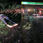 accident
