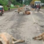 WhatsApp Image 2025 09 03 at 6.38.10 PM 860x482 1