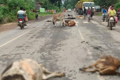 WhatsApp Image 2025 09 03 at 6.38.10 PM 860x482 1