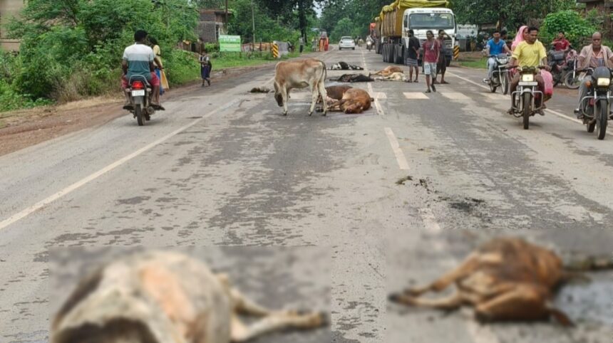 WhatsApp Image 2025 09 03 at 6.38.10 PM 860x482 1