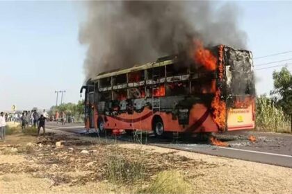 2025 10image 18 32 383003952bus ll