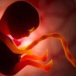 Screenshot 2025 10 12 202009