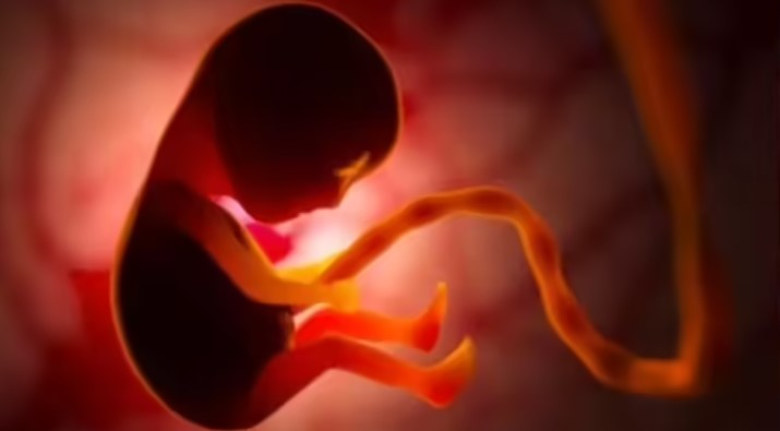 Screenshot 2025 10 12 202009