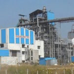 sugar plant