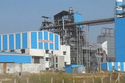 sugar plant