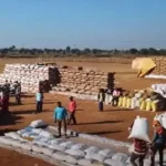 1500x900 2542789 raipur paddy procurement service of committee in charge terminated