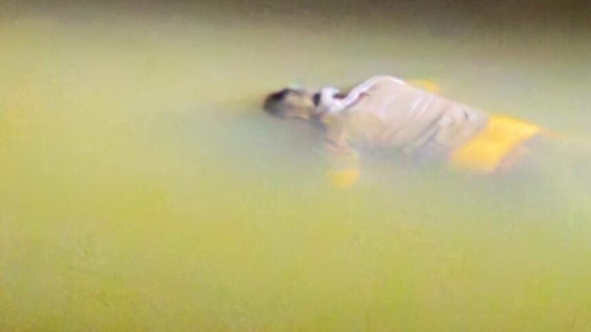 Bilaspur News Advocate dead body founded