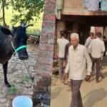 Screenshot 2025 11 19 141443