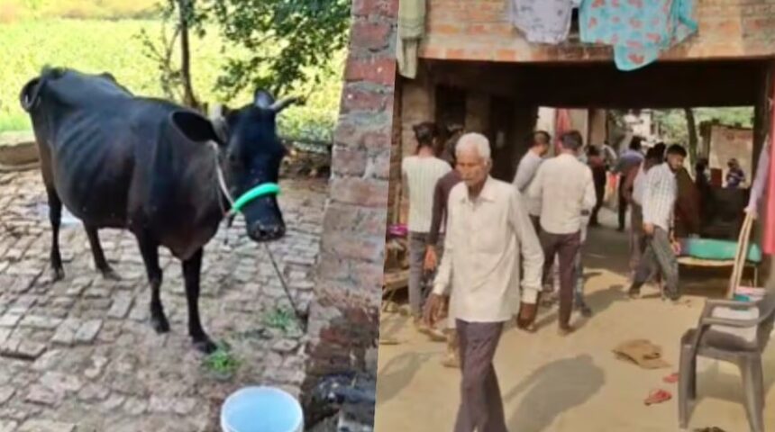 Screenshot 2025 11 19 141443