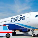 WhatsApp Image 2025 11 04 at 9.50.49 AM