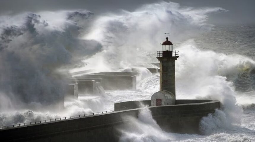 Screenshot 2025 12 09 135432