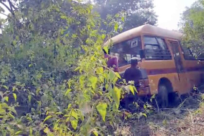 bus