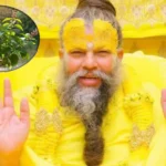 premanand maharaj in tulsi
