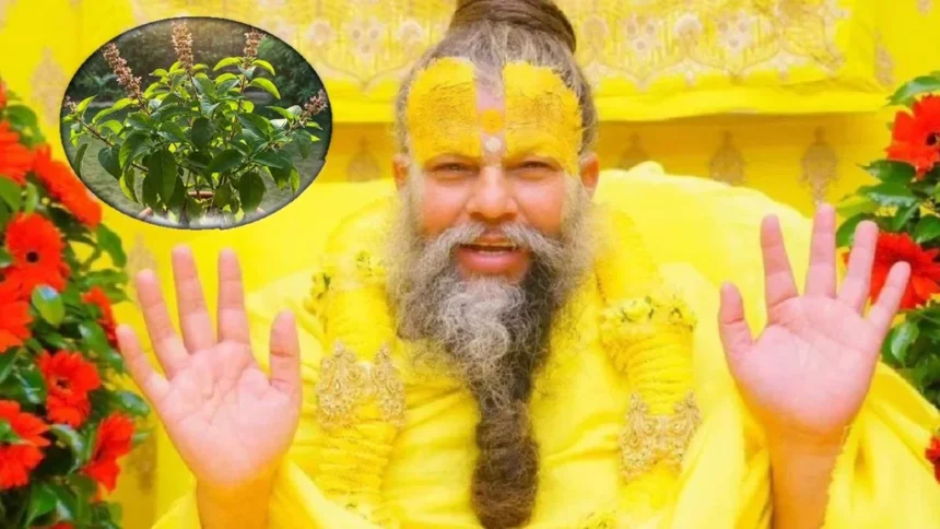 premanand maharaj in tulsi