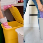 untitled design 1765266002