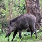 IMG 20260221 WA0128 1