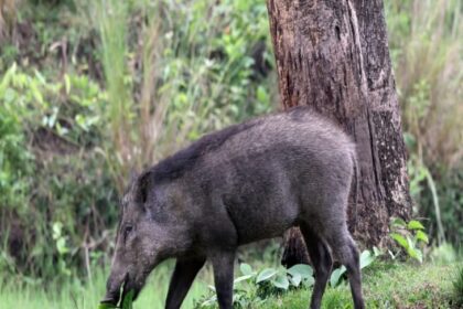 IMG 20260221 WA0128 1