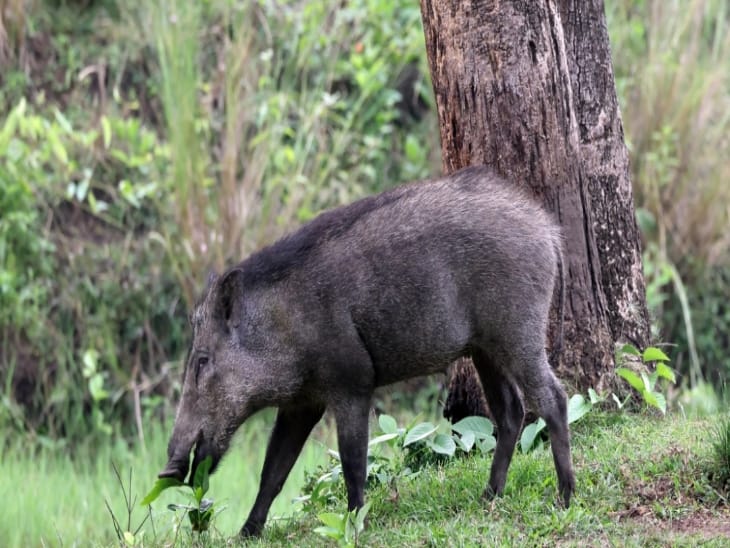 IMG 20260221 WA0128 1