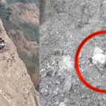 WhatsApp Image 2026 02 05 at 2.51.56 PM