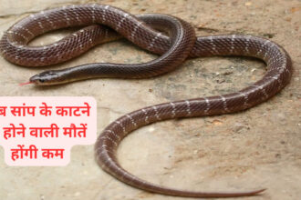 1200 675 26265023 thumbnail 16x9 lld