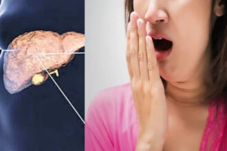 1200 675 26283384 thumbnail 16x9 kkd