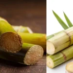 untitled design 9 1772169532