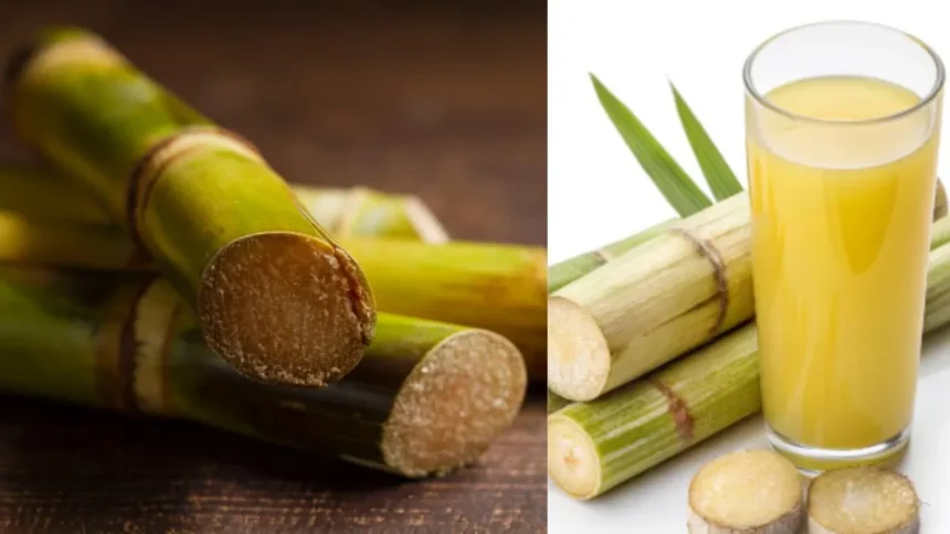 untitled design 9 1772169532