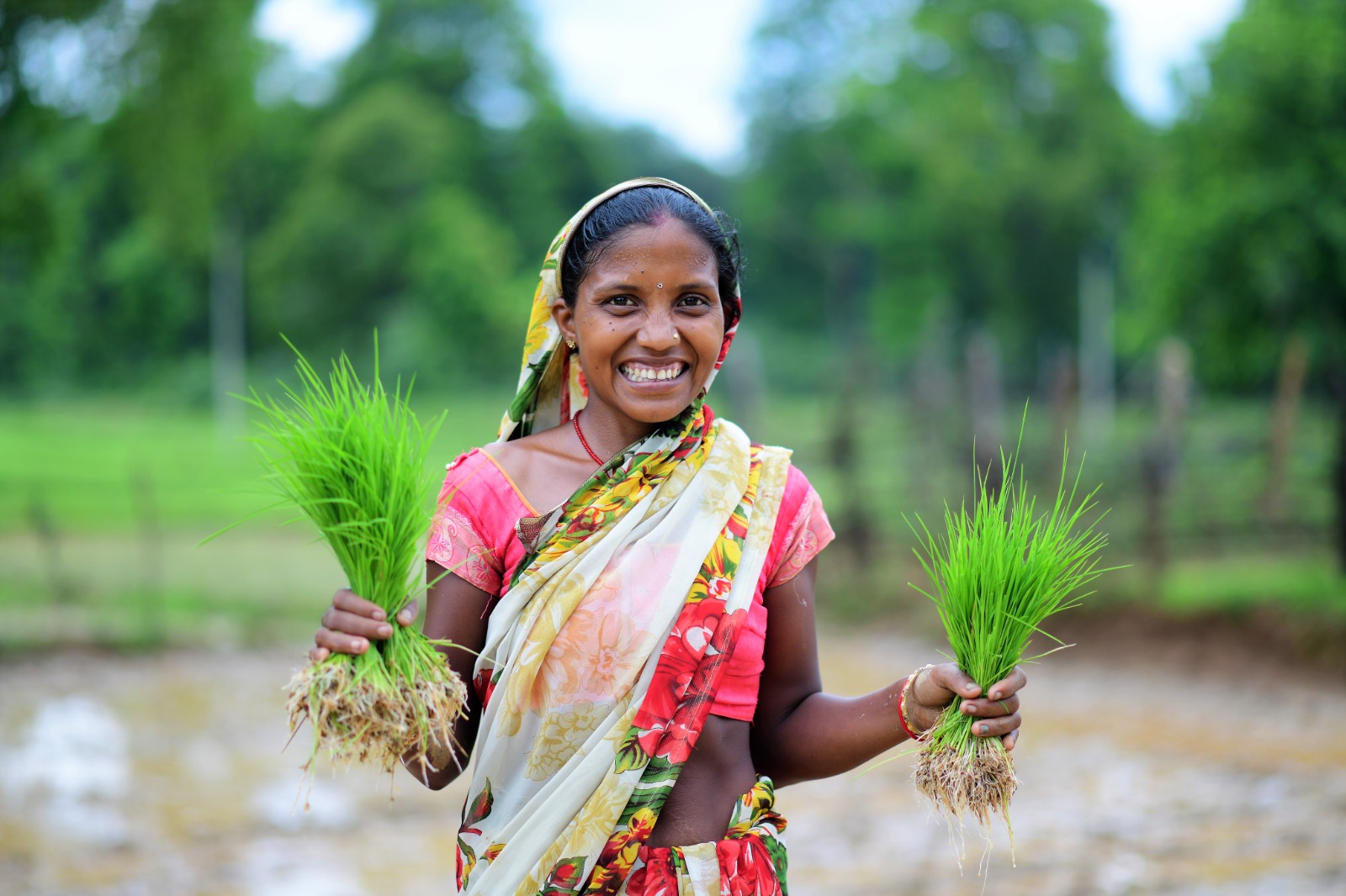 IMG 20260428 WA0053 1