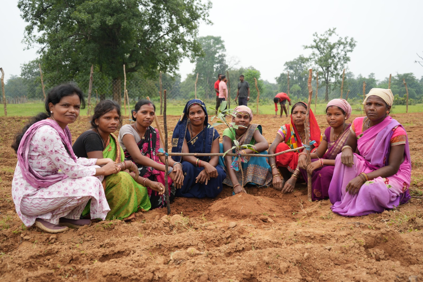 IMG 20260428 WA0054 1