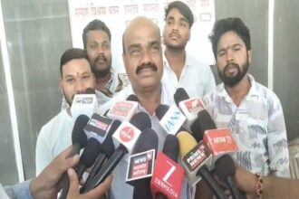 befunky 2026 3 1 17 44 0