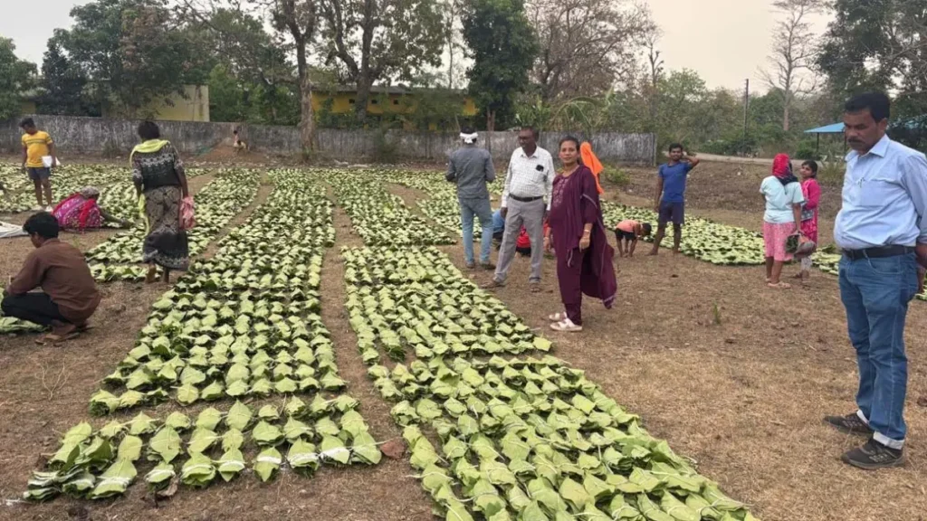 tendu leaf wadding 1776854301