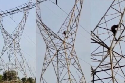 TOWER 1 860x484 1