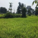 IMG 20261008 WA0011