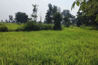 IMG 20261008 WA0011