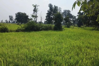 IMG 20261008 WA0011
